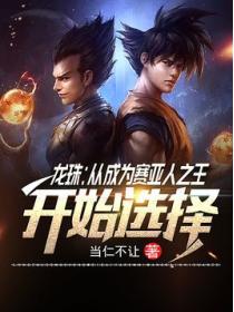 龍珠：從成為賽亞人之王開始選擇