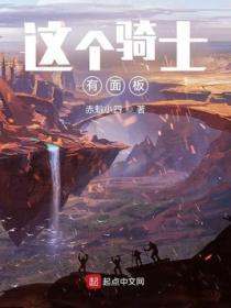 這個騎士有麵板