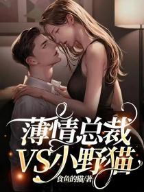 薄情總裁VS小野貓