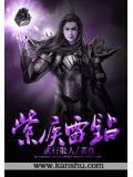 紫疾雷钻