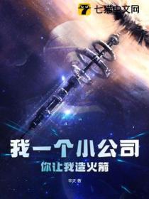 我一個小公司,你讓我造火箭?
