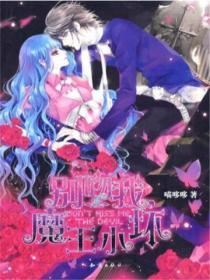 別吻我,魔王小壞1