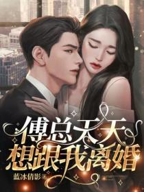 傅總天天想跟我離婚