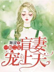 一胎二寶：盲妻寵上天