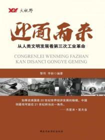 大視野區域經濟發展叢書-迎麵而來