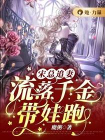 宋總追妻，流落千金帶娃跑