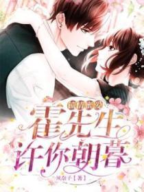 鎖情蜜愛：霍先生，許你朝暮