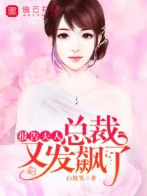 報告夫人，總裁又發飆了