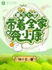 重生七零：帶著全家奔小康