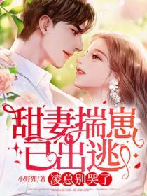 甜妻揣崽已出逃，淩總別哭了