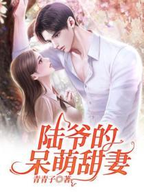 陸爺的呆萌甜妻