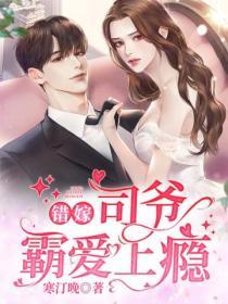 錯嫁：司爺霸愛上癮