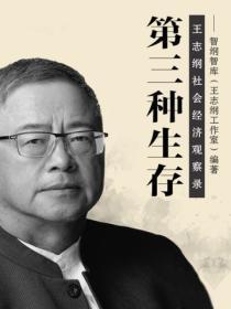 第三種生存：王誌綱社會經濟觀察錄