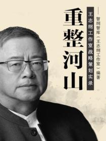重整河山：王誌綱工作室戰略策劃實錄