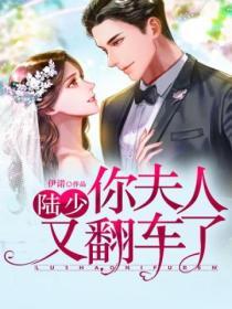 陸少，你夫人又翻車了