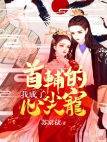 我成了首輔的心尖寵