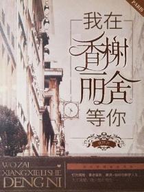 我在香榭麗舍等你