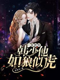 一夜燃情：韓少他如狼似虎