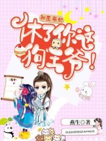 神醫萌妃：休了你這狗王爺！