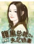 腹黑總裁的失憶嬌妻