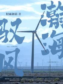 瀚海馭風