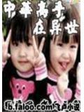 中华高手在异世