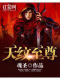 天纹至尊