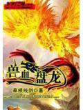 兽血盘龙