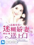 總裁有喜:迷糊嬌妻送上門