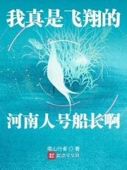 我真是飛翔的河南人號船