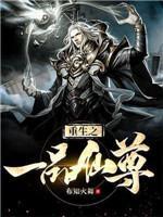 重生之一品仙尊