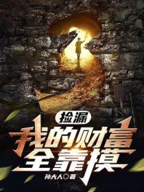 撿漏：我的財富全靠摸