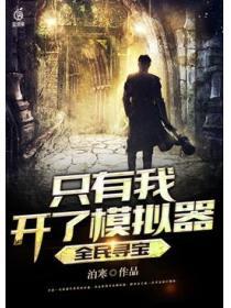 全民尋寶隻有我開了模擬器