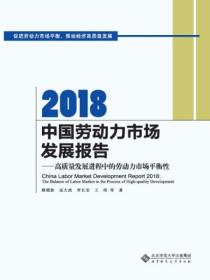 2018中国劳动力市场发展报告：高质量发展进程中的劳动力市场平衡性