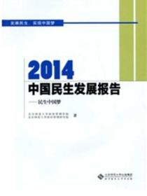 2014中国民生发展报告