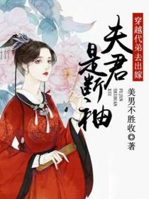 穿越代弟去出嫁：夫君是断袖