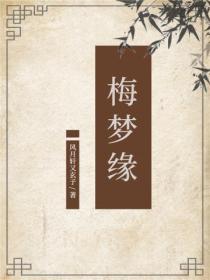 梅梦缘
