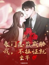豪門總裁威脅我，不扯證就坐牢