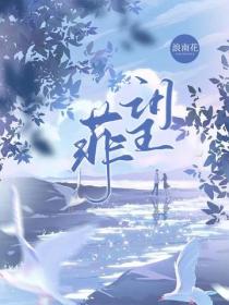 菲望