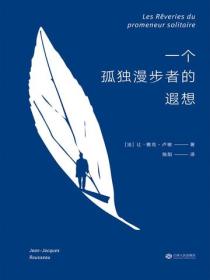 一个孤独漫步者的遐想