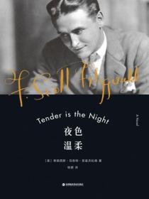 夜色温柔（菲茨杰拉德小说精选）
