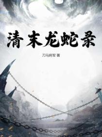 清末龙蛇录