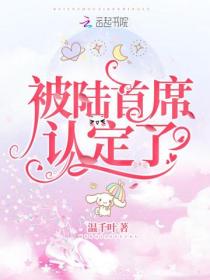 被陆首席认定了