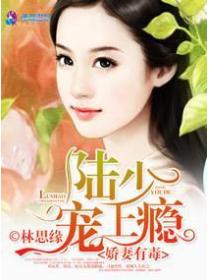 暖婚之许你无法无天