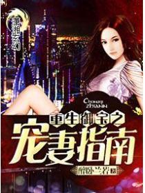 重生御宝之宠妻指南