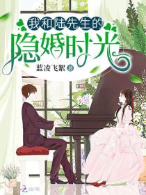 我和陆先生的隐婚时光