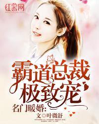 名门暖婚：霸道总裁极致宠