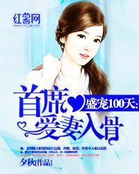 盛宠100天：首席爱妻入骨