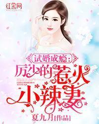 试婚成瘾：厉少的惹火小辣妻