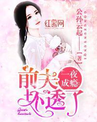 一夜成瘾：前夫，坏透了